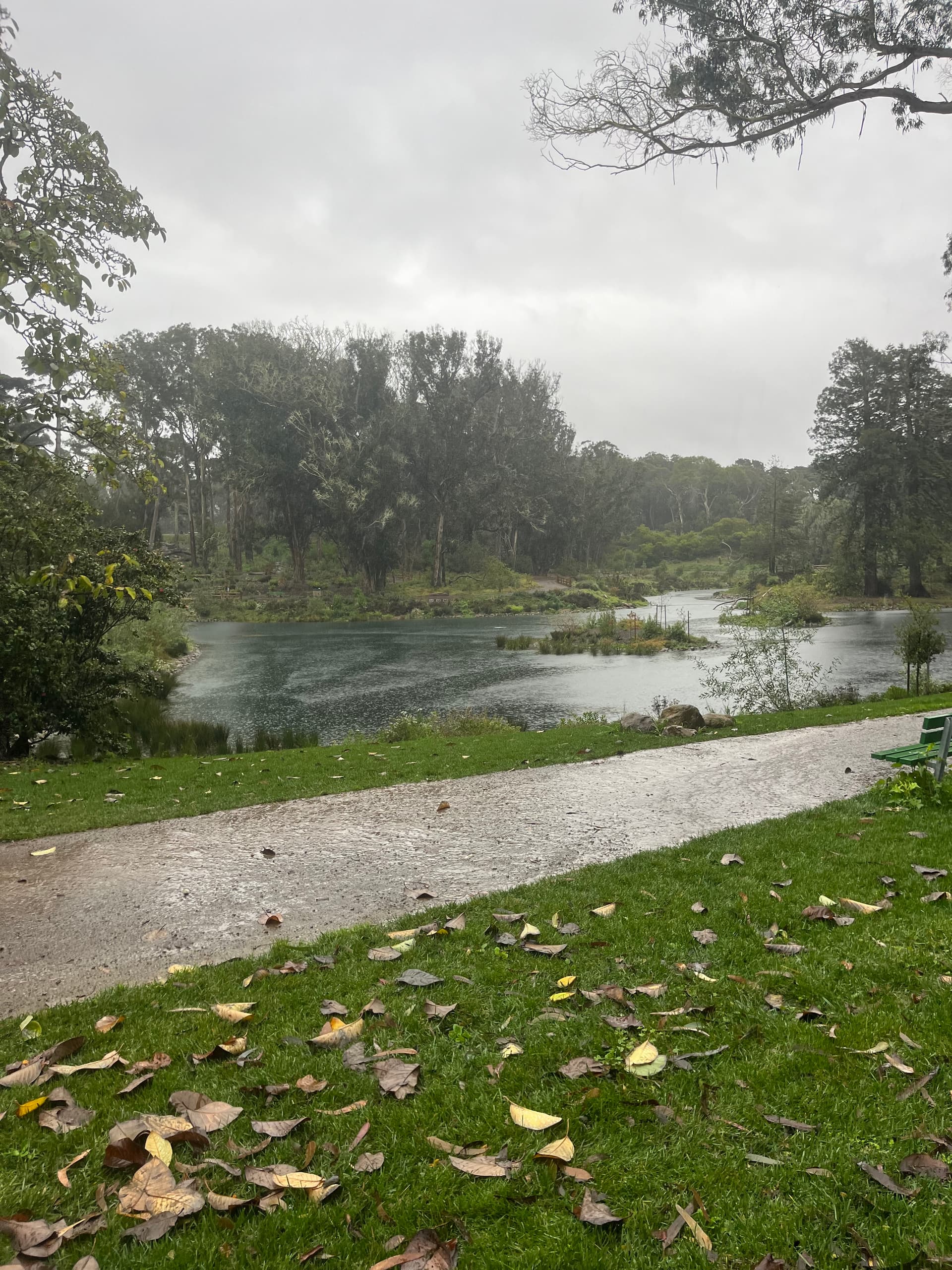 Golden Gate Park