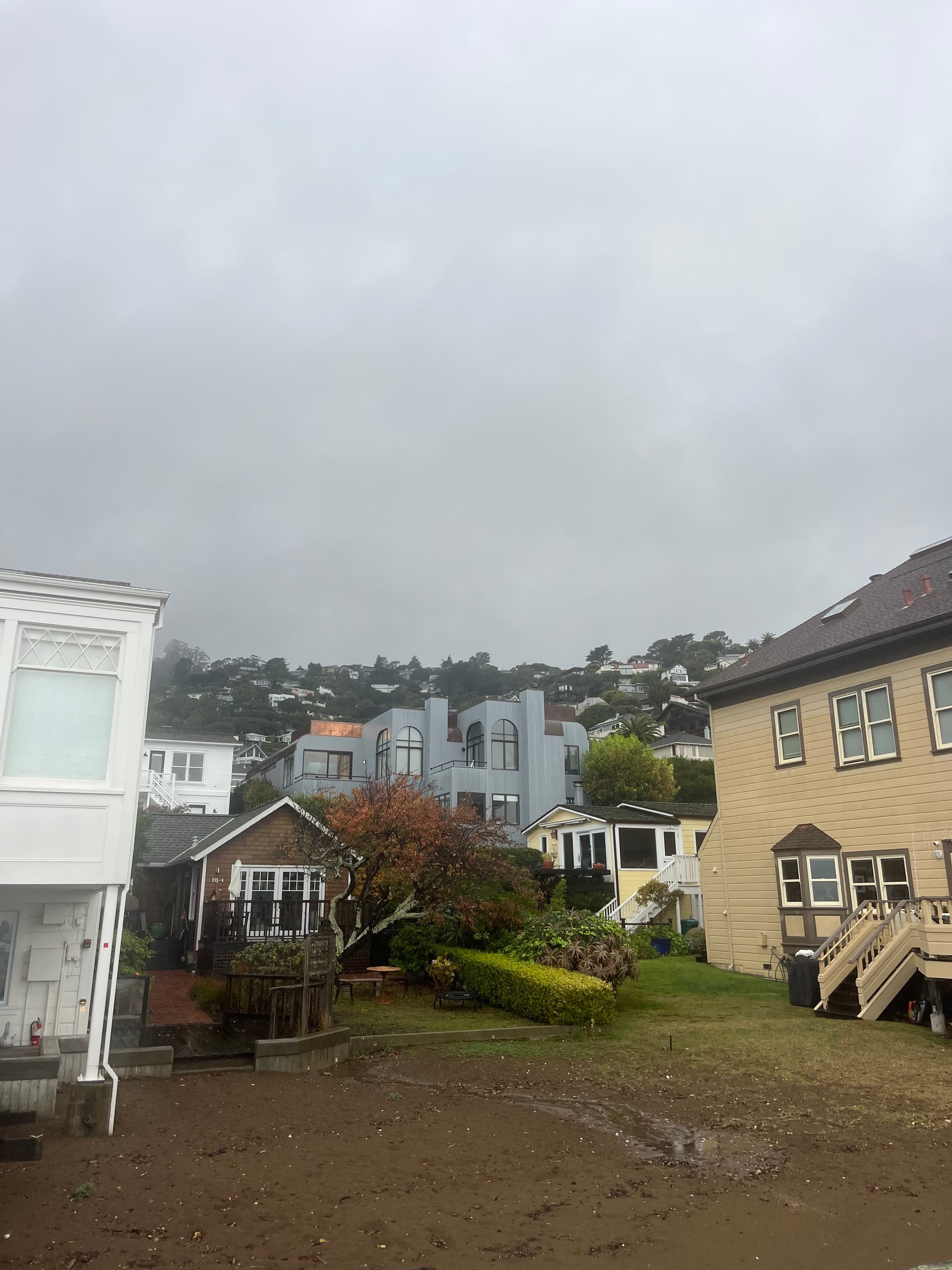 Marin