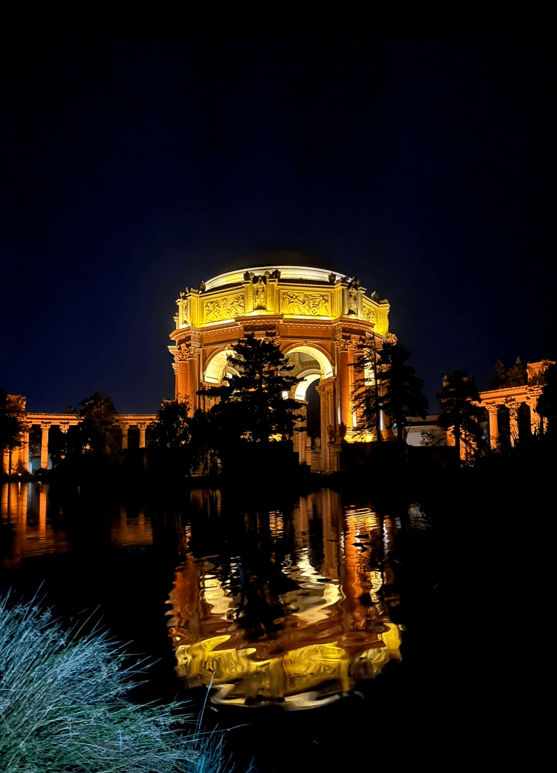 Palace of Fine Arts at night